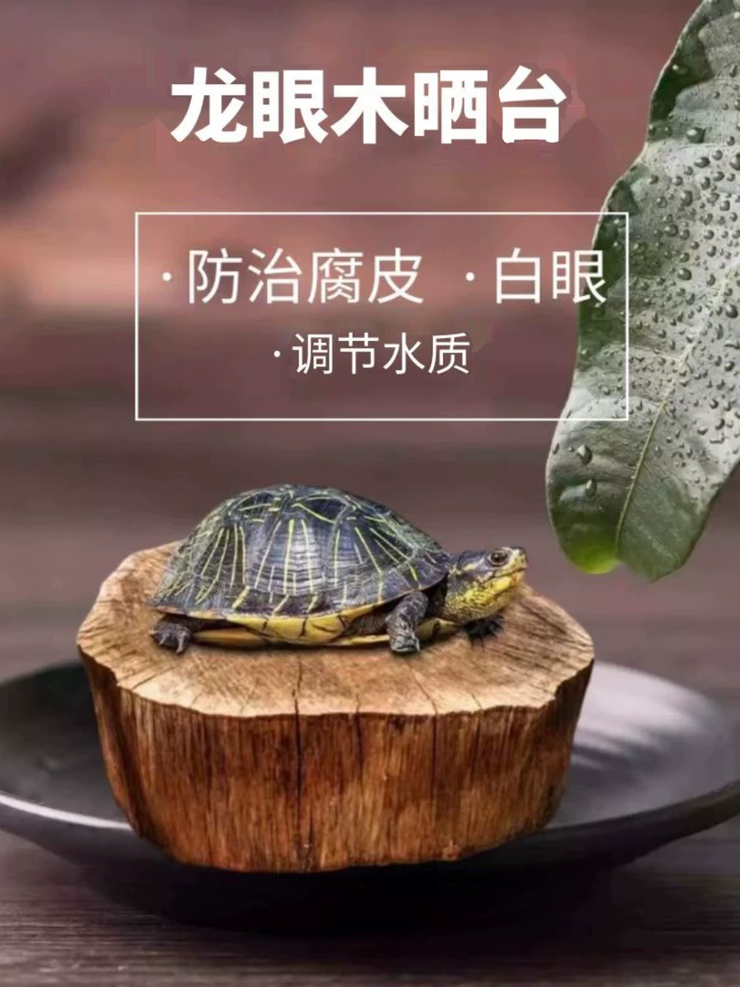 乌龟龙眼木晒背台爬台天然沉木鱼缸造景摆件生态缸不规则乌龟晒台