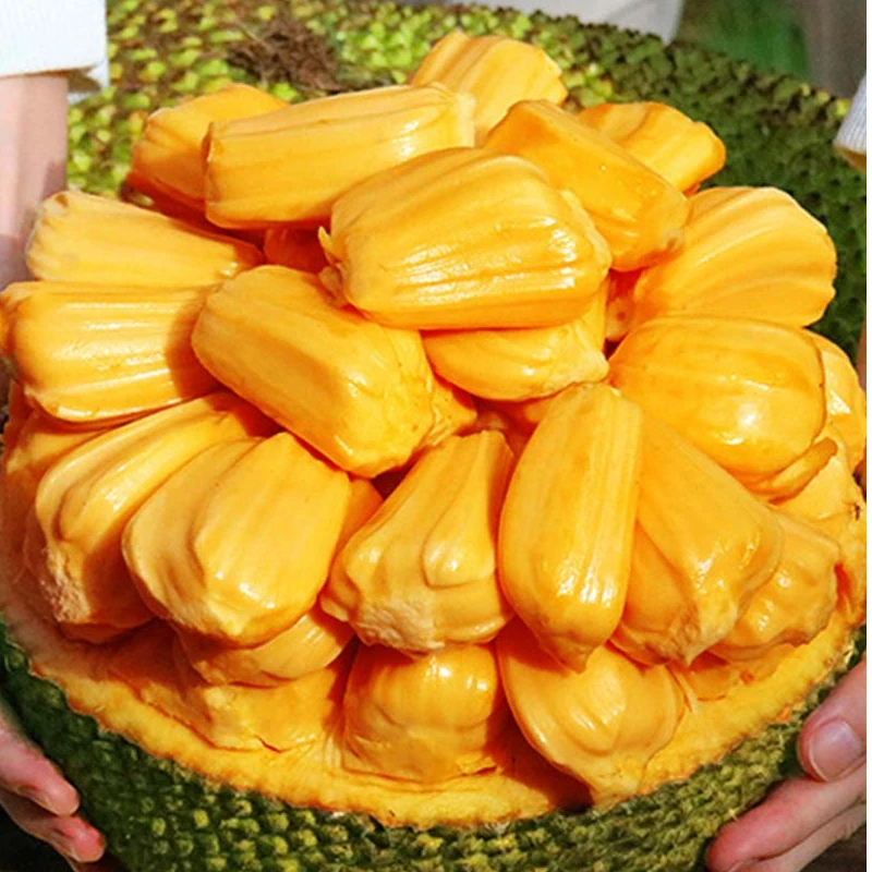 热带生鲜脆甜新鲜应季水果10-40斤大果一整个包邮