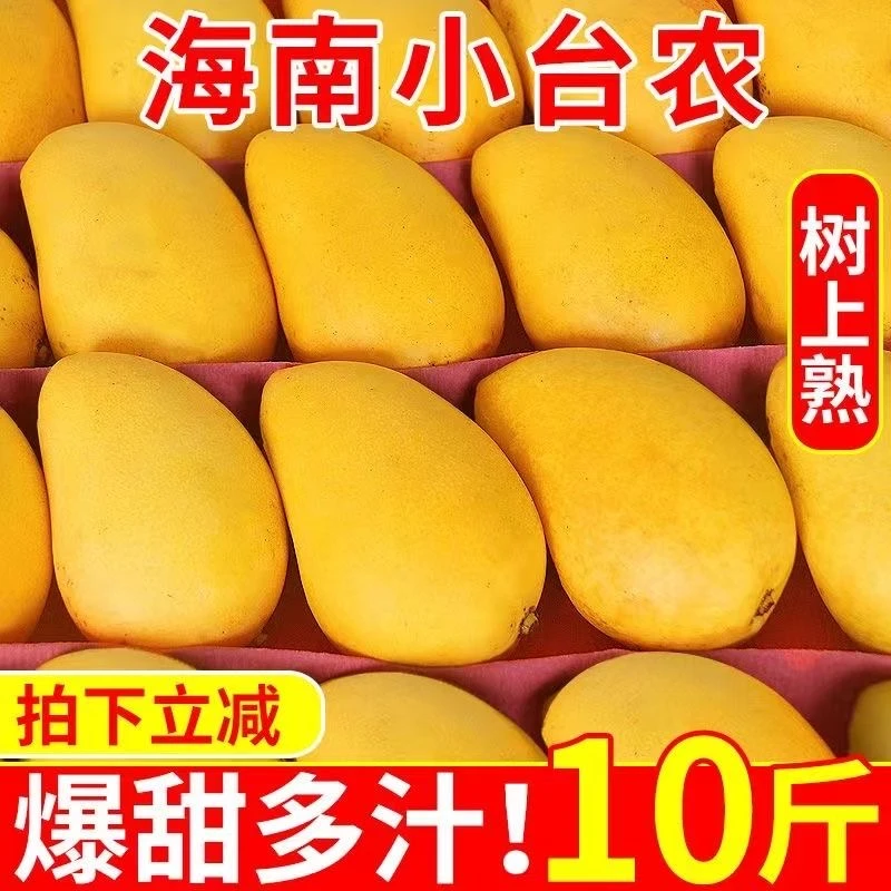 海南台农芒果新鲜当季水果薄皮小台芒现摘产地直发小芒果整箱包邮