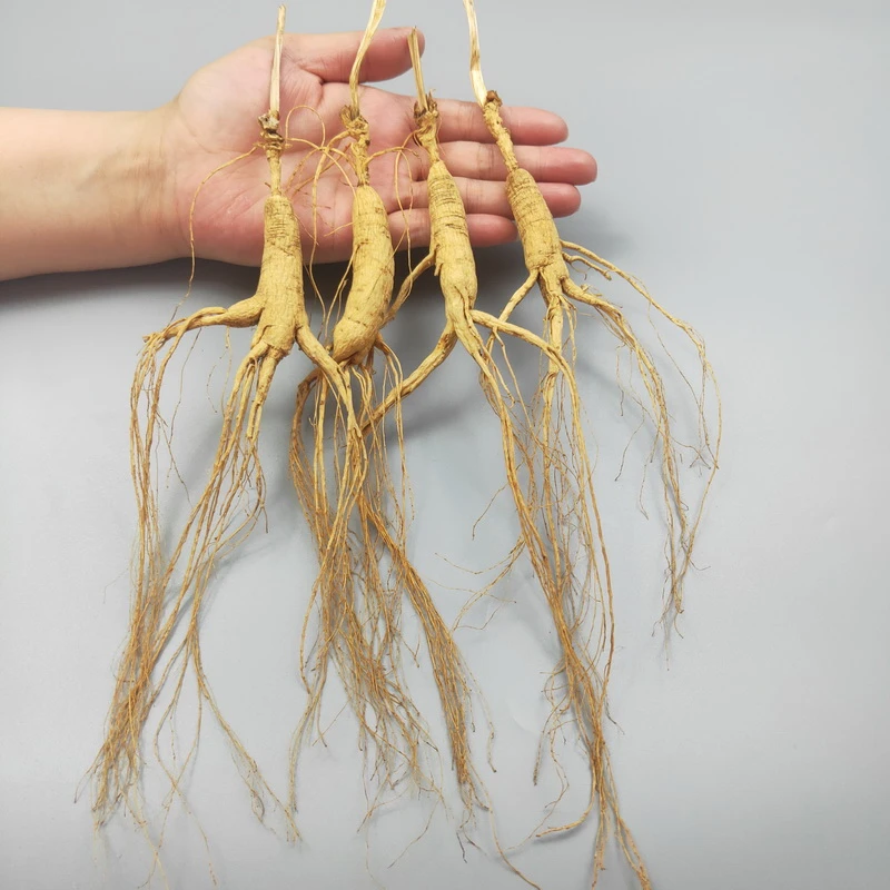 长白山 林下参 林下山参 人参林下干参移山参泡酒煲汤干人参