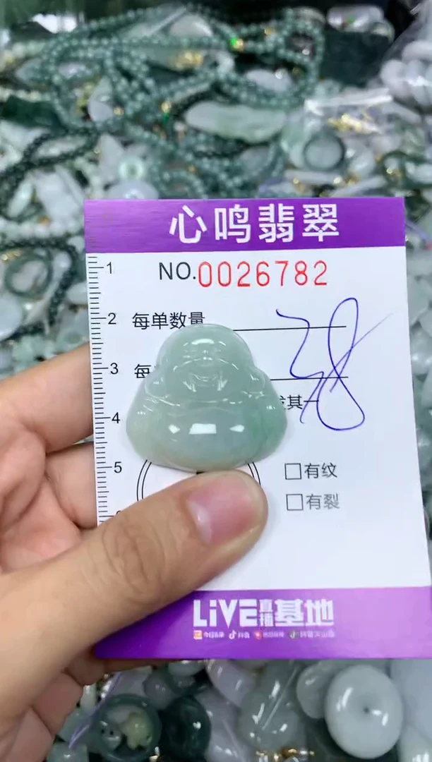 【闪购商品】翡翠颈饰未镶嵌闪购0026782