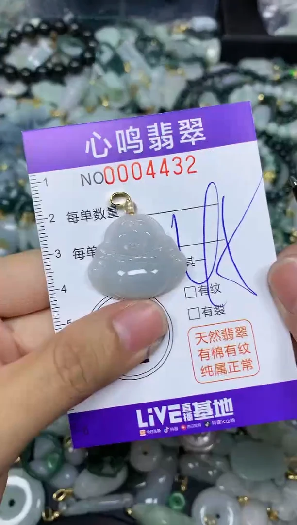 【闪购商品】翡翠颈饰未镶嵌闪购004432