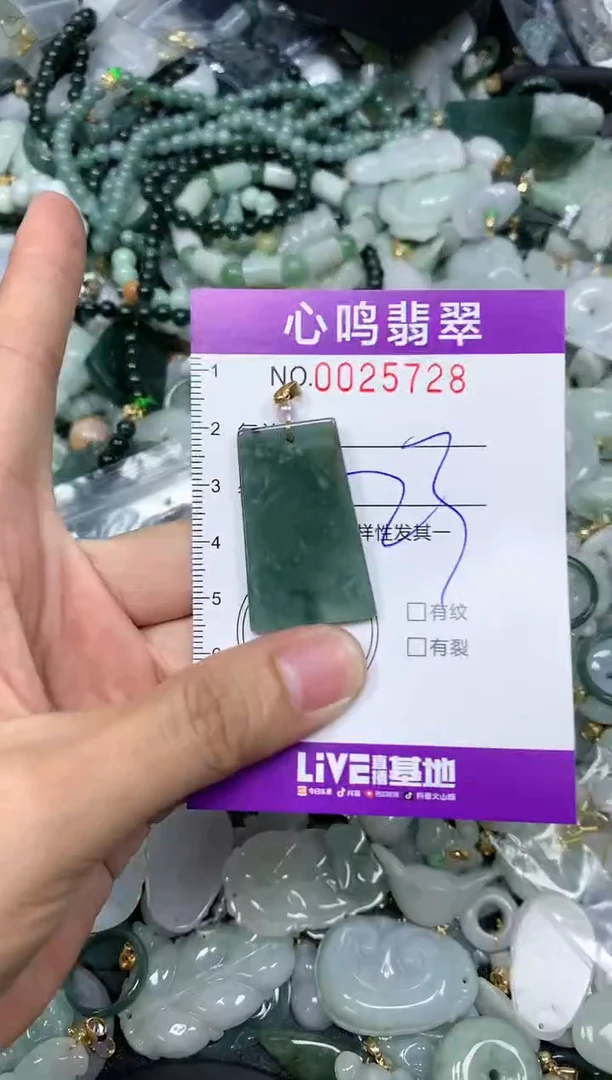 【闪购商品】翡翠颈饰未镶嵌闪购0025728