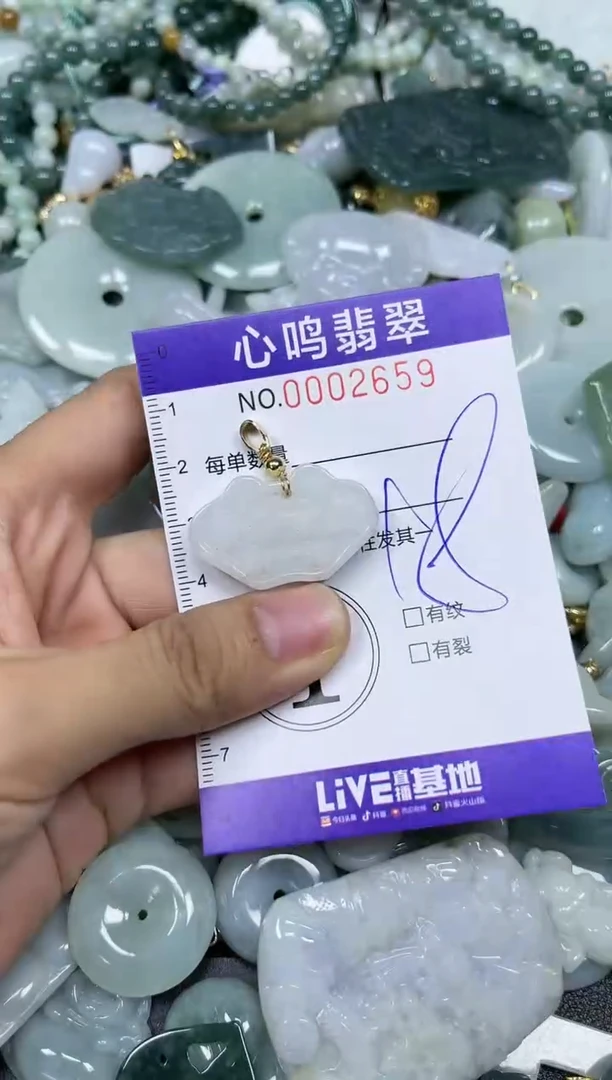 【闪购商品】翡翠颈饰未镶嵌闪购002659