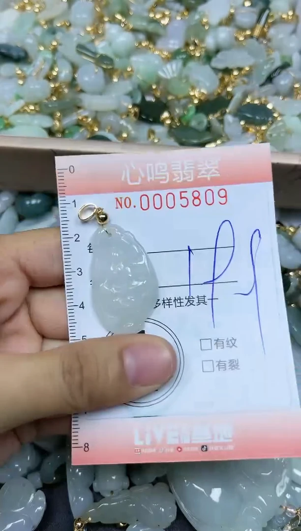 【闪购商品】翡翠颈饰未镶嵌闪购005809