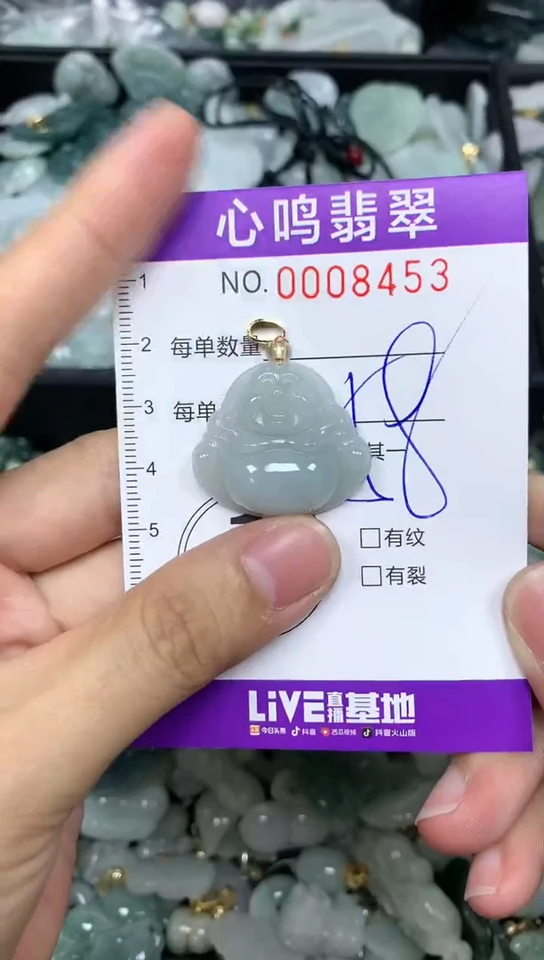 【闪购商品】翡翠颈饰未镶嵌闪购008453