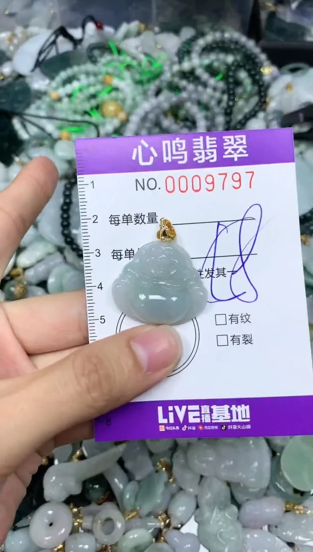 【闪购商品】翡翠颈饰未镶嵌闪购009797