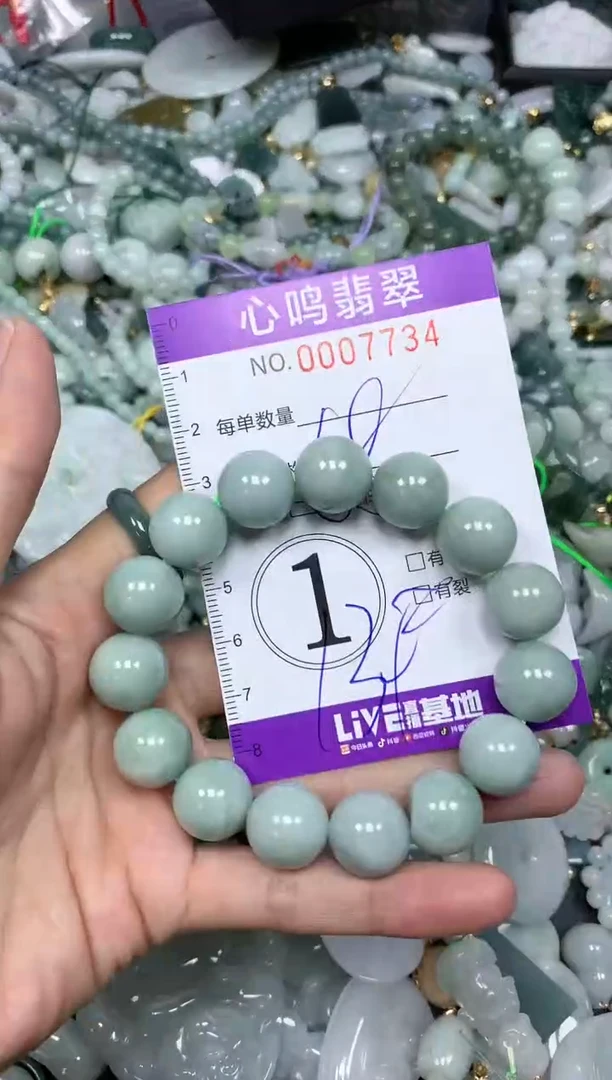 【闪购商品】翡翠颈饰未镶嵌闪购007734