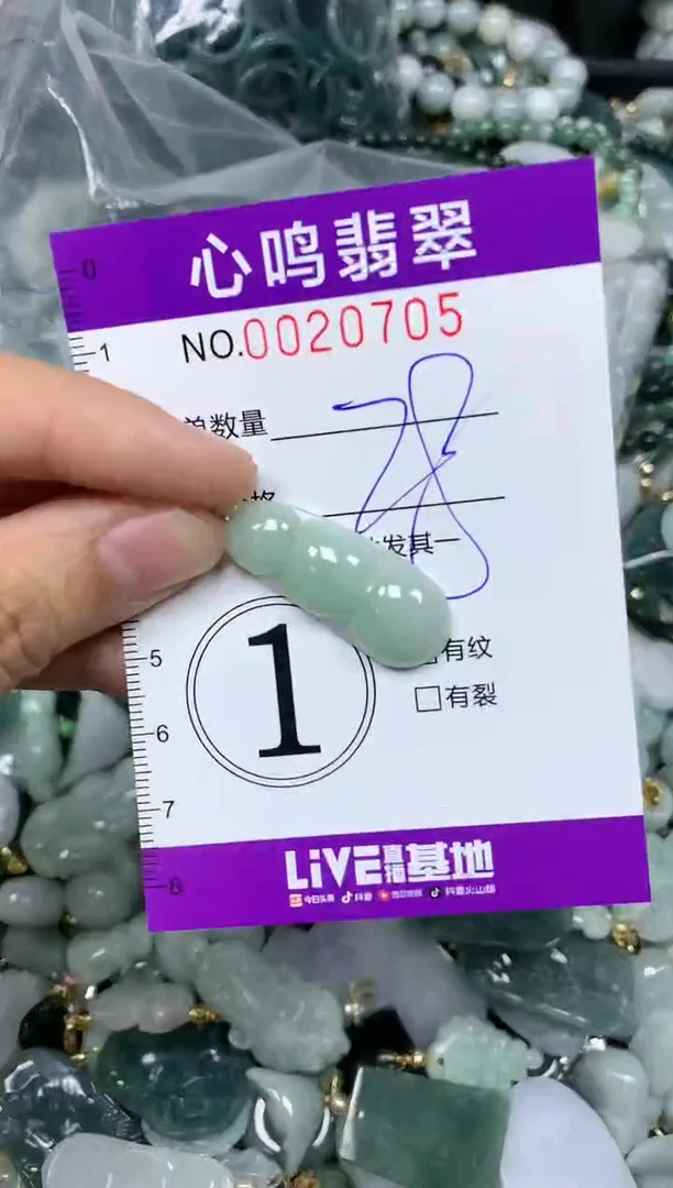 【闪购商品】翡翠颈饰未镶嵌闪购0020705