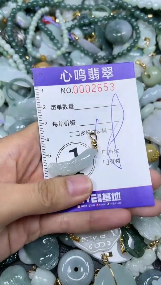 【闪购商品】翡翠颈饰未镶嵌闪购002653