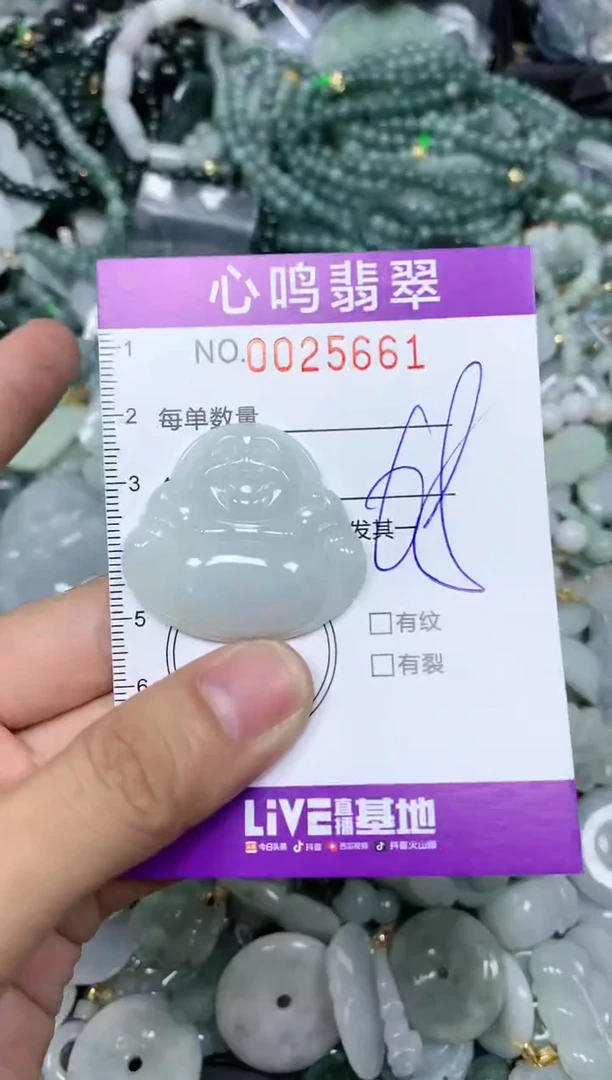 【闪购商品】翡翠颈饰未镶嵌闪购0025661