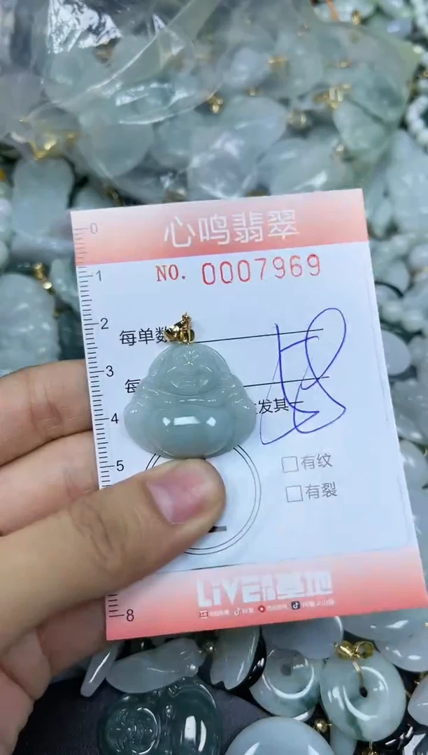 【闪购商品】翡翠颈饰未镶嵌闪购007969
