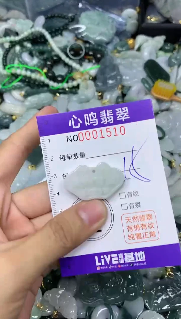 【闪购商品】翡翠颈饰未镶嵌闪购0001510