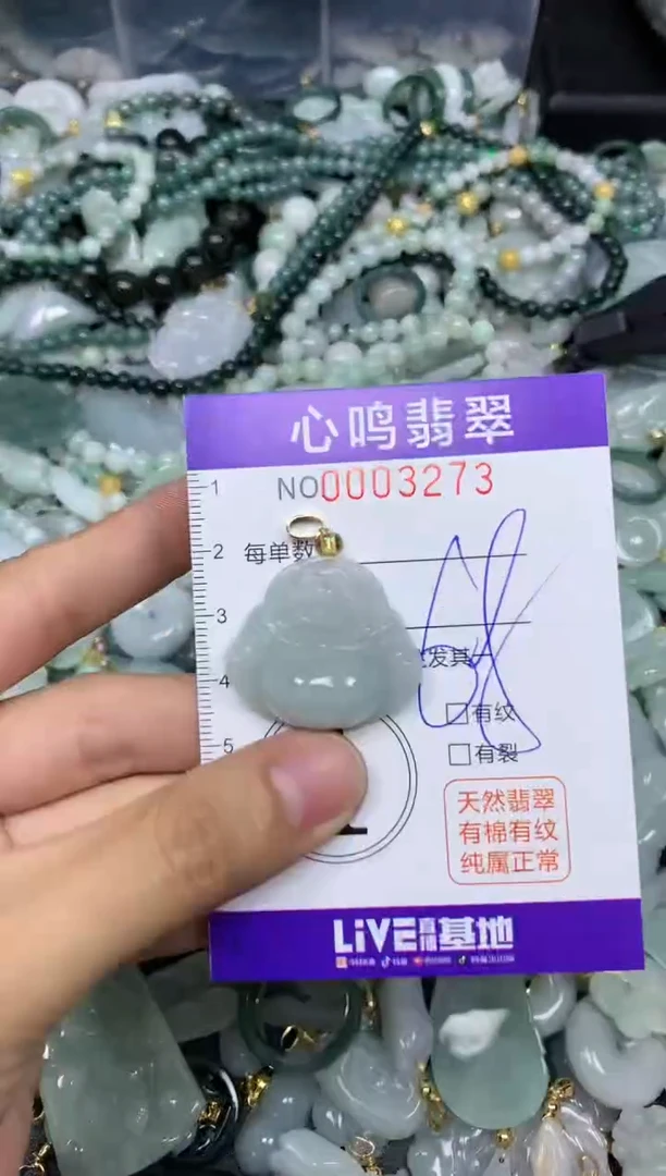 【闪购商品】翡翠颈饰未镶嵌闪购003273