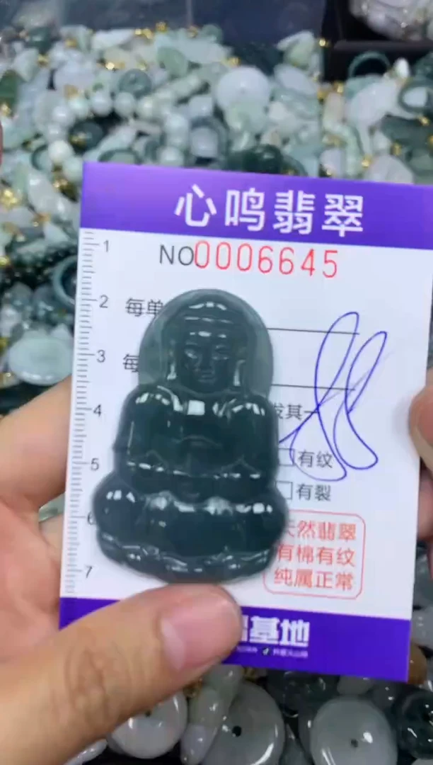 【闪购商品】翡翠颈饰未镶嵌闪购006645