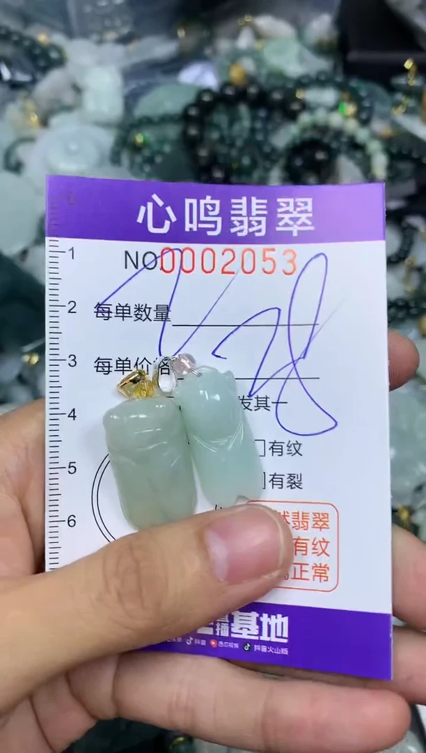 【闪购商品】翡翠颈饰未镶嵌闪购002053