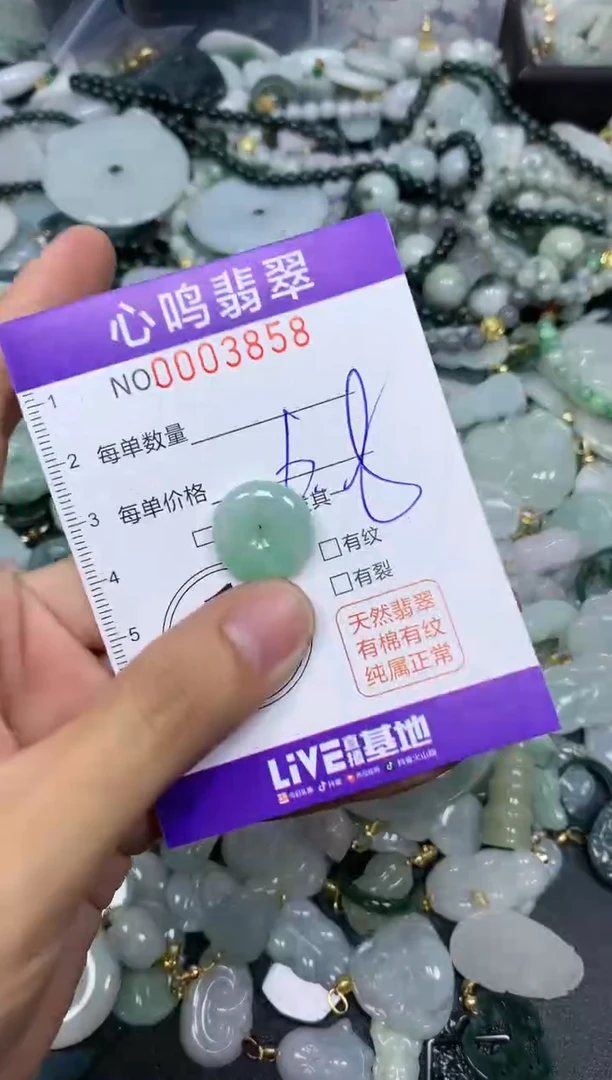 【闪购商品】翡翠颈饰未镶嵌闪购003858