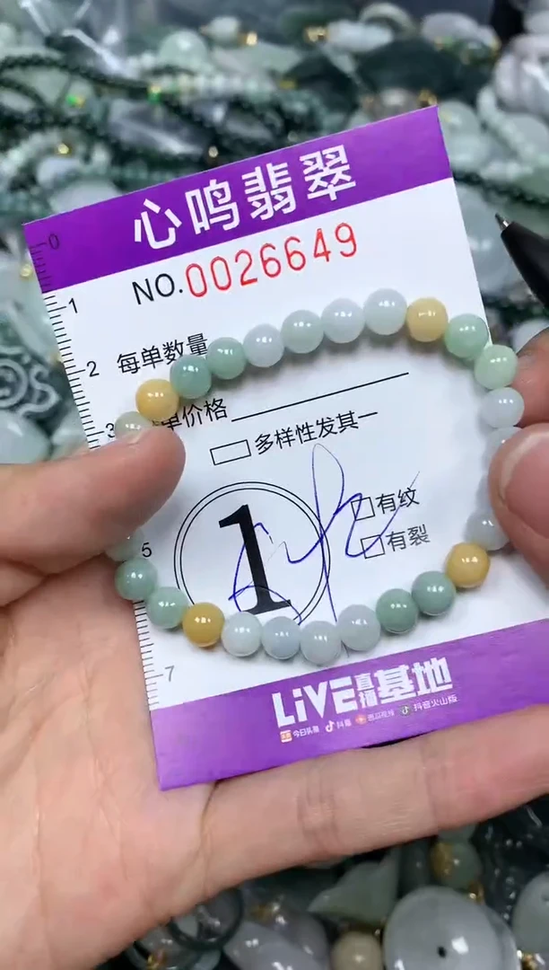 【闪购商品】翡翠颈饰未镶嵌闪购0026649