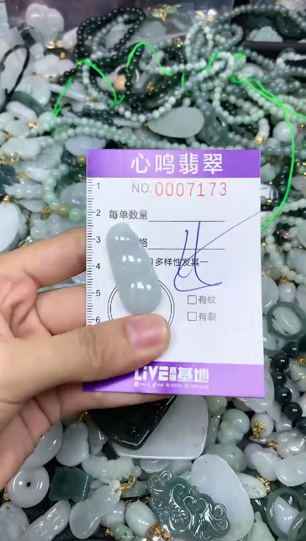 【闪购商品】翡翠颈饰未镶嵌闪购007173