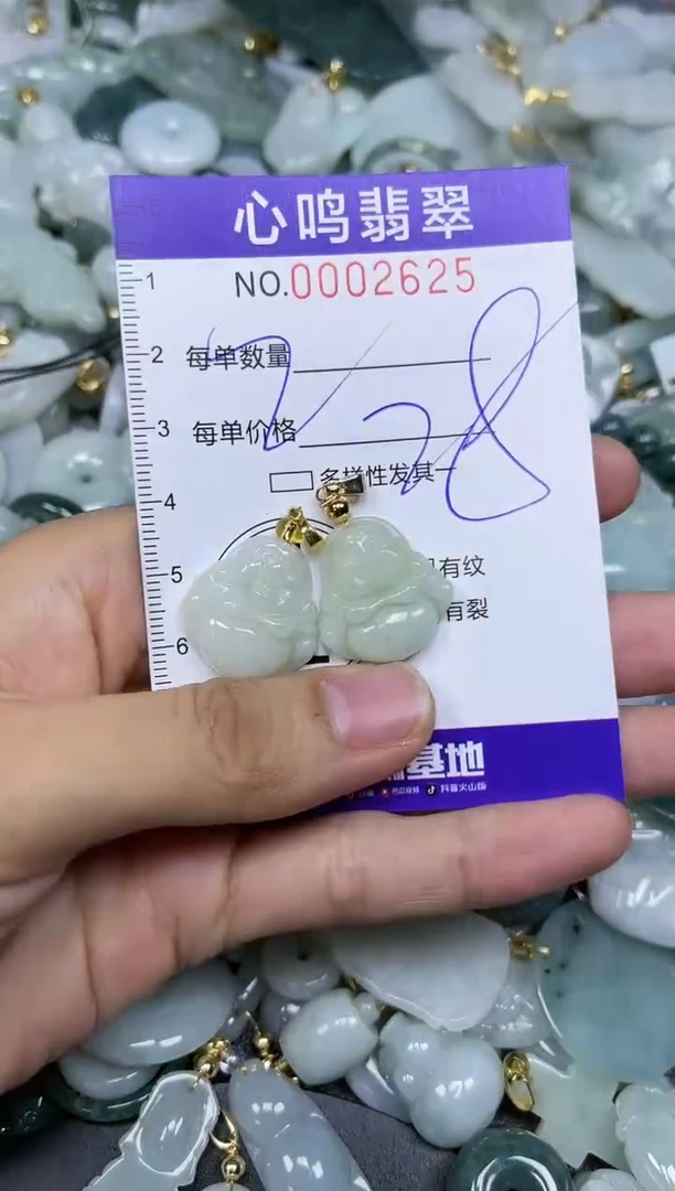 【闪购商品】翡翠颈饰未镶嵌闪购002625