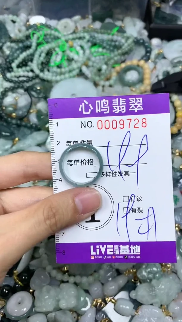 【闪购商品】翡翠颈饰未镶嵌闪购009728
