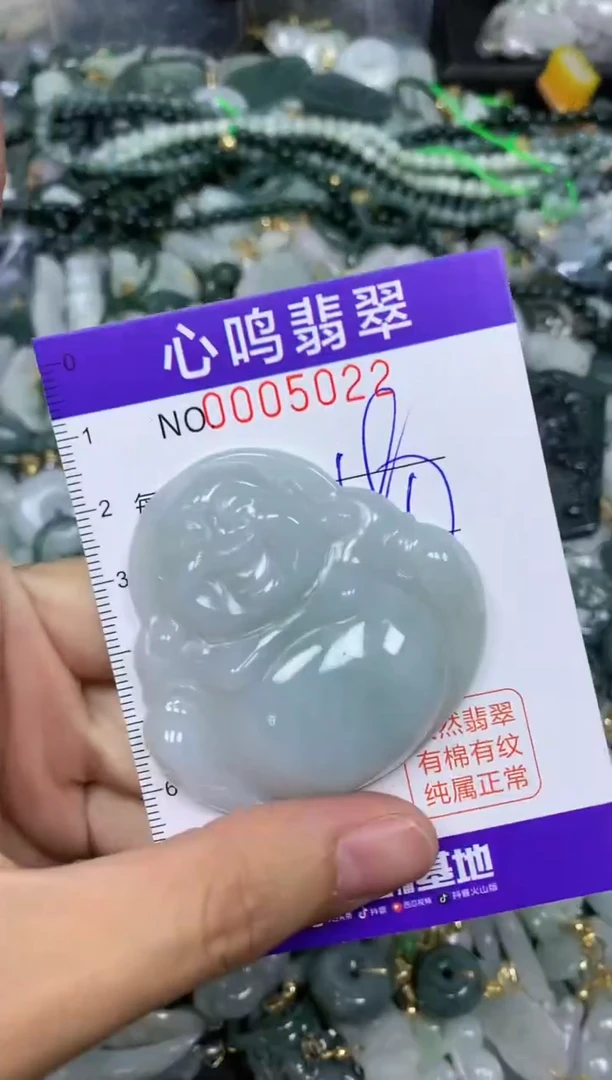 【闪购商品】翡翠颈饰未镶嵌闪购005022