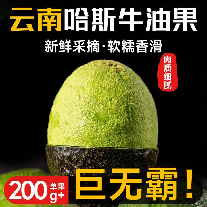 24年新果正宗云南哈斯牛油果(10颗8颗5颗70-200g)水果当季鳄梨