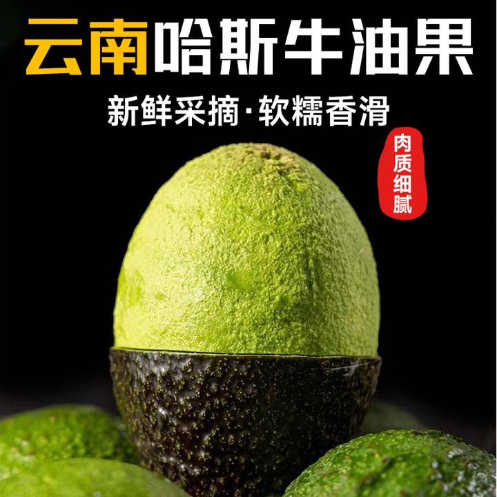 云南国产哈斯牛油果24年新鲜当季水果非进口(70-200g)熟透辅食