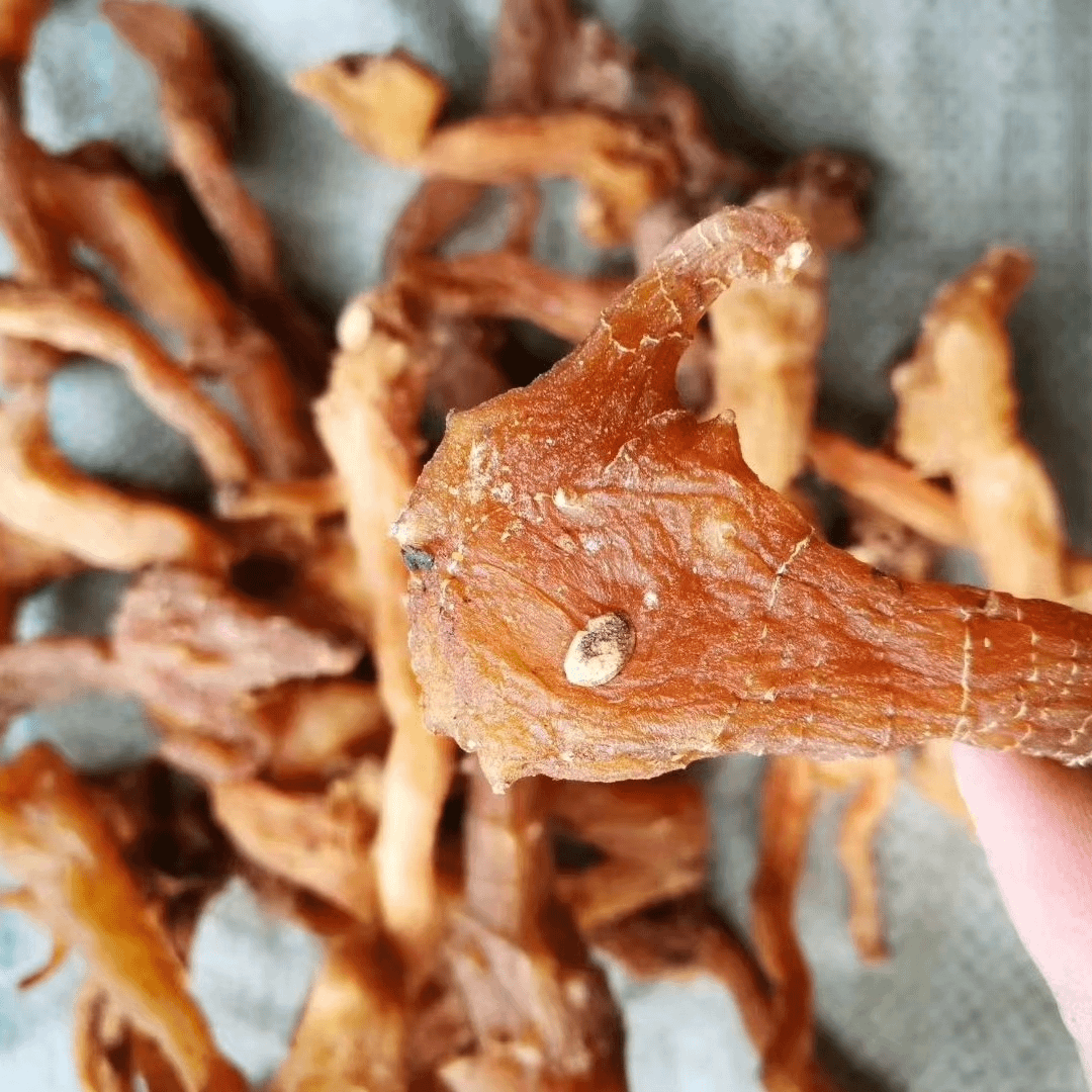 鸡头参 250g野参少量现货 另有桔梗