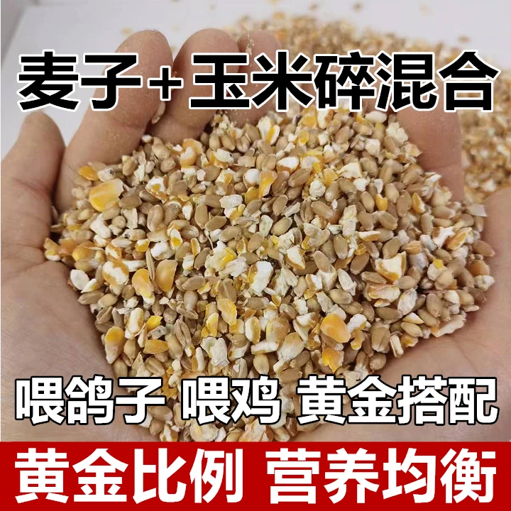 小麦子玉米碎混合喂鸽子喂鸡鹌鹑营养鸽五谷杂粮食渣保健砂观赏鸽