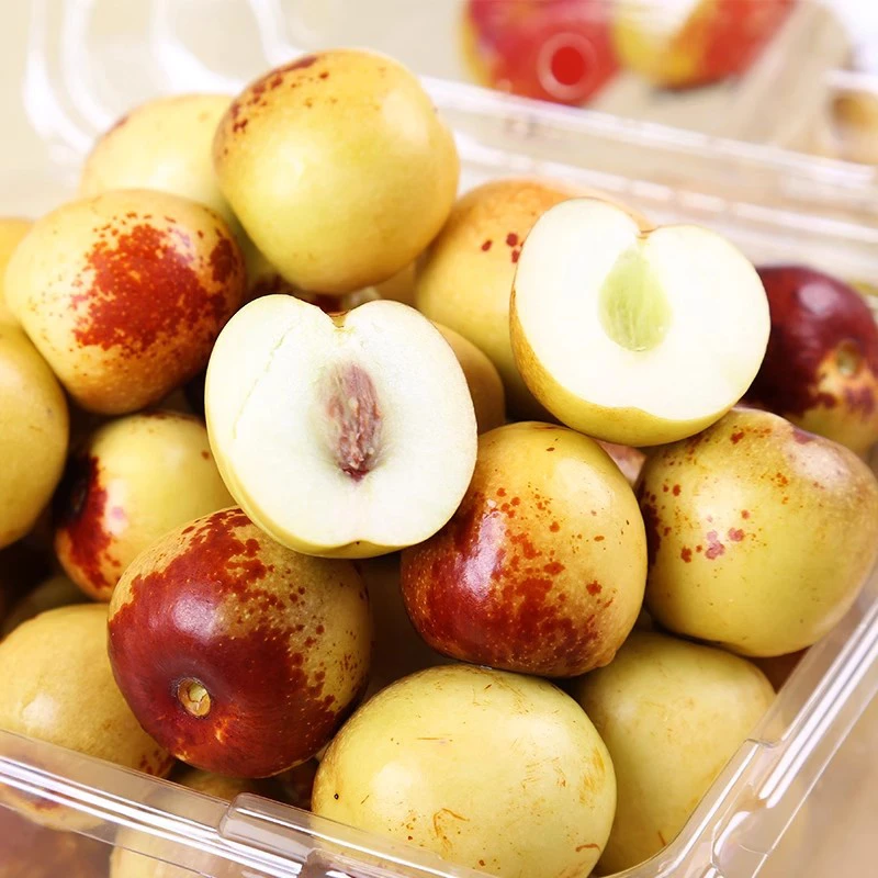 【顺丰发货】新鲜冬枣脆甜