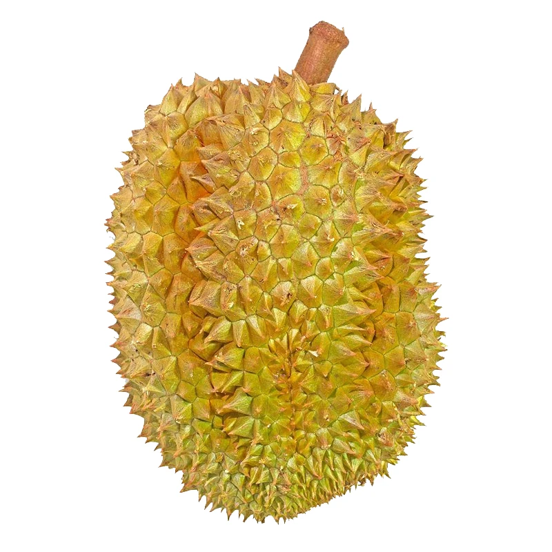 【山西河南顺丰专享】（一物一拍）金枕榴莲现拍现发联系客服验生熟！