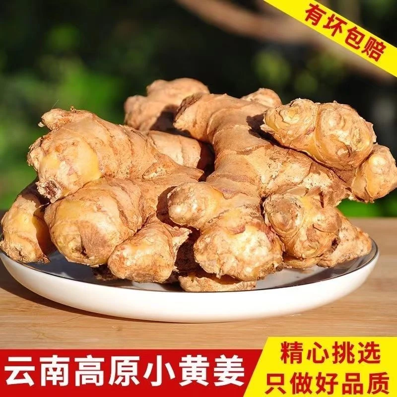 云南高山小黄姜带泥土发货现摘现发