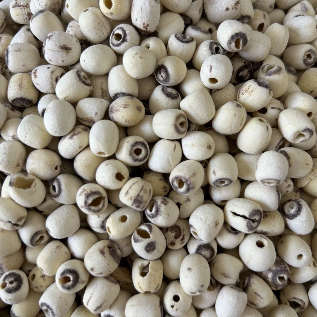 臻野现收土特产莲-子食用菜叶子