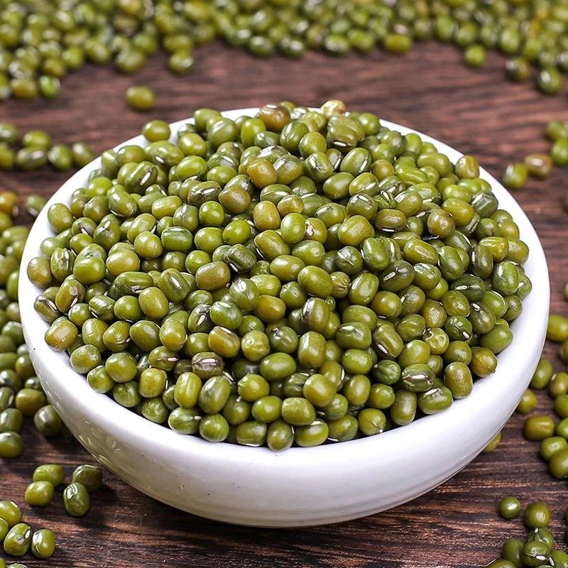 新绿豆400G饱满营养农家种植严选小绿豆天然绿豆汤绿豆可发芽绿色