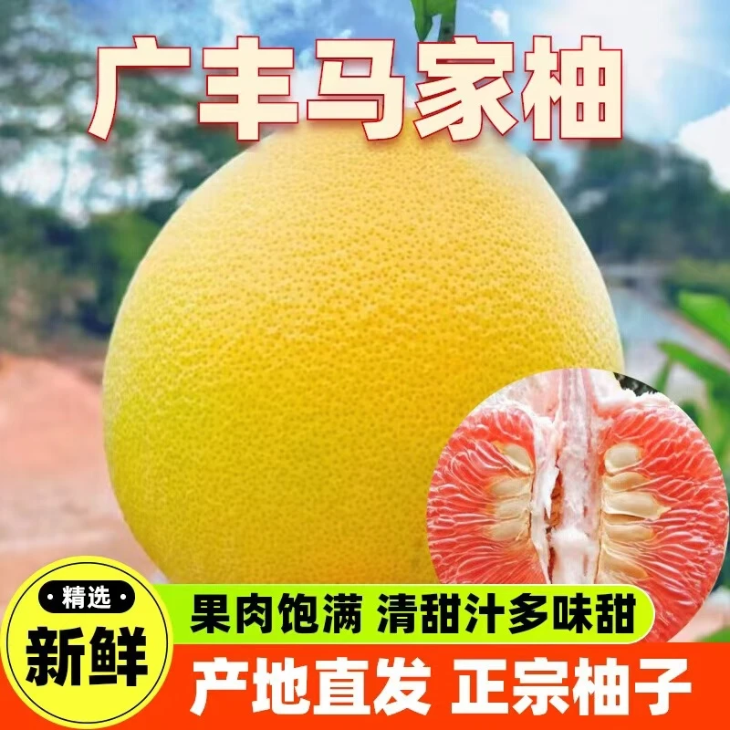 正宗上饶广丰马家柚红心蜜柚果肉饱满汁水充足现摘