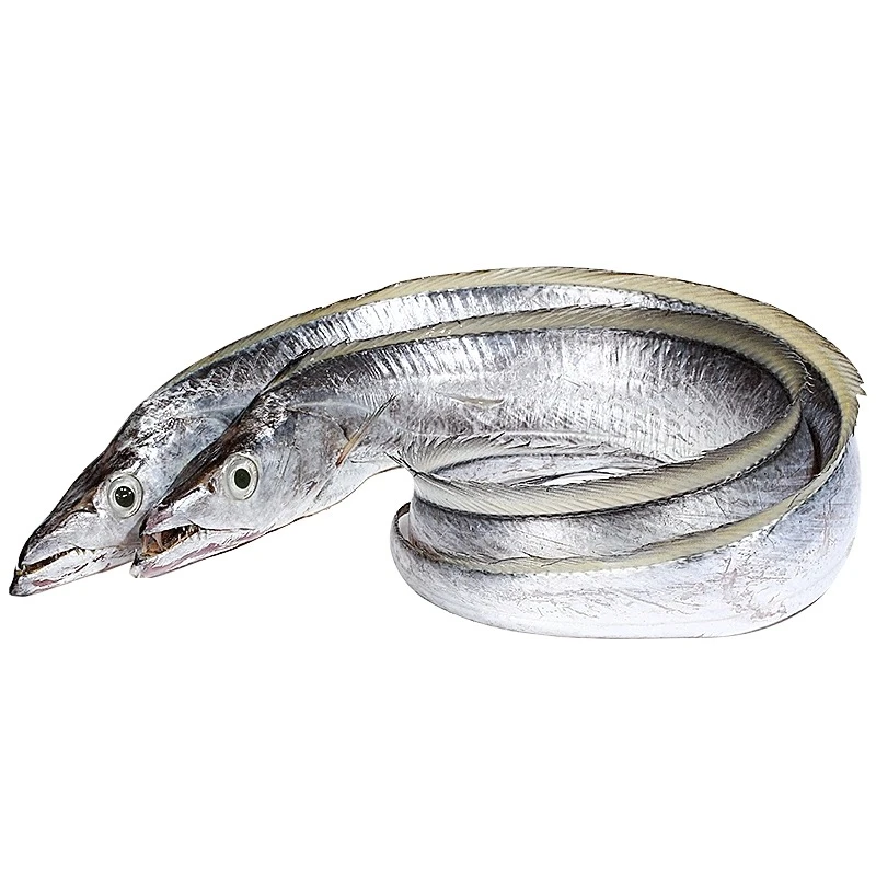 【高峰海鲜】特级带鱼3斤装