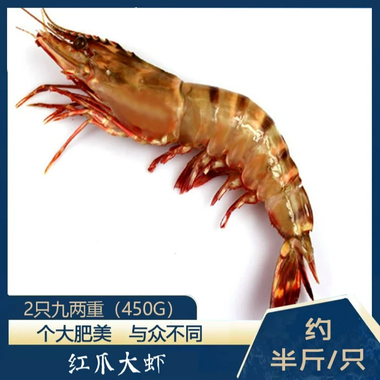 大号虾2头500g装 大红爪虎虾 九节竹节虾大海虾直播 东山岛