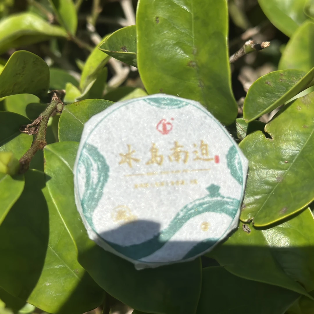 云南优质临沧大叶种冰岛南迫象棋饼每颗8g包邮到家