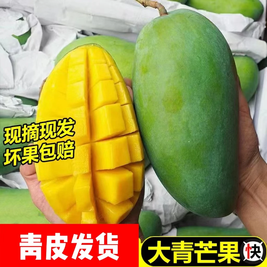 现摘脆甜生芒果生吃脆果熟吃香甜生熟应季大青芒多汁包邮1箱g
