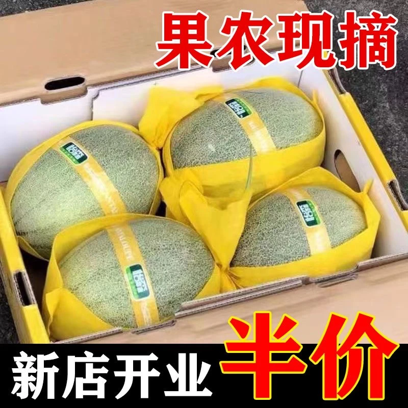 【水果上新】现摘现发高山哈密瓜新鲜宝宝孕妇水果脆甜5斤包邮爽口