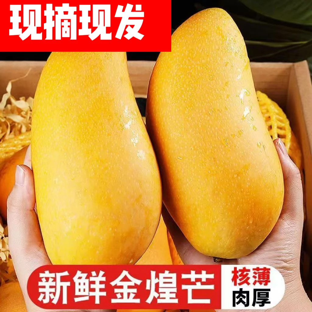 【直播专属】金煌芒果大青芒新鲜热带水果甜心芒果整箱7-8成熟发货