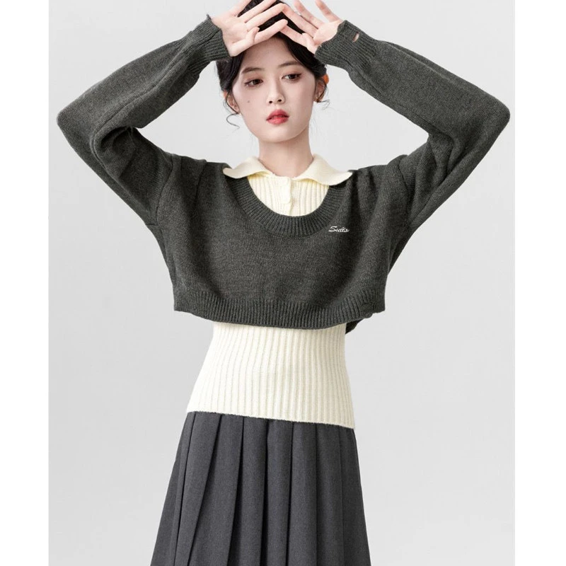 2024新款设计感polo领针织衫两件套女春秋洋气毛衣背心短款上衣