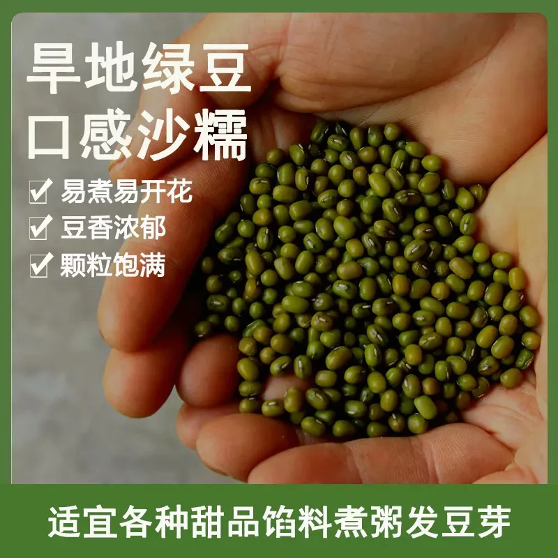 2025农家【绿豆】五谷豆类杂粮新鲜可发豆芽小绿豆