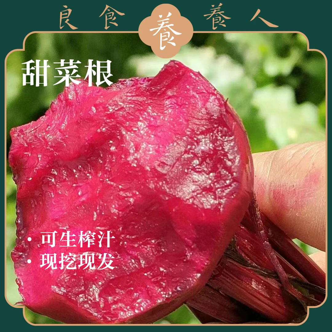 有机甜菜根5斤/箱