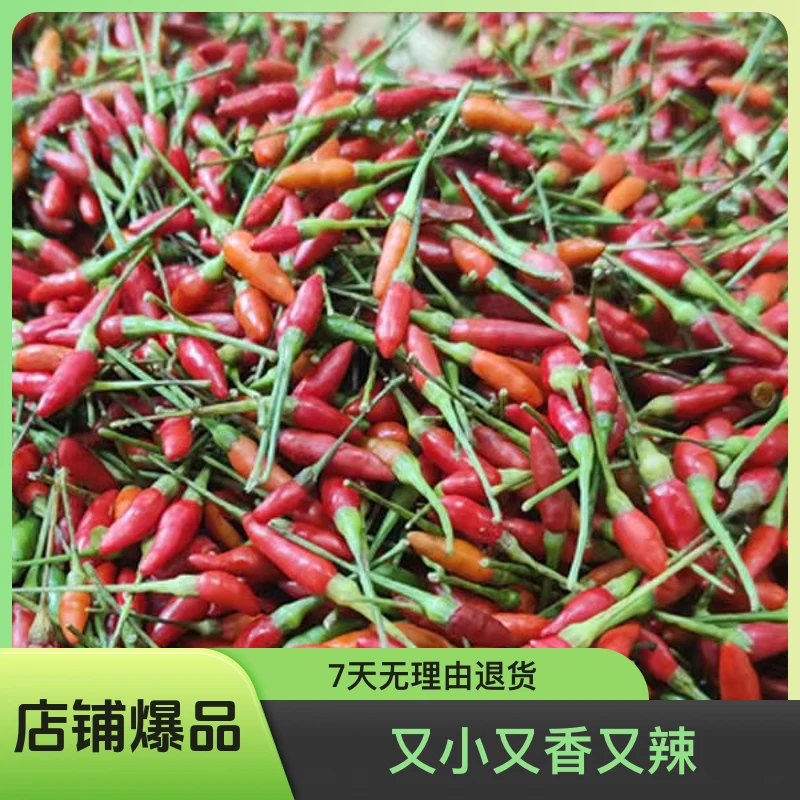 新鲜海南小米辣特产原产地小米椒农产品下饭菜辣椒酱泡菜鱼茶精选