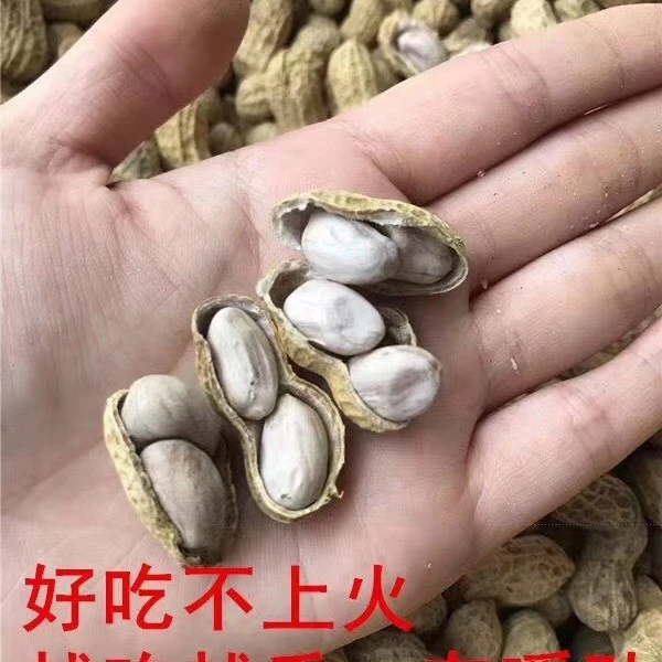 水煮花生净含量1000克