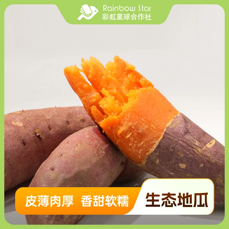 彩虹星球｜生态地瓜5斤蜜番薯山东新鲜红薯软糯香甜粗粮