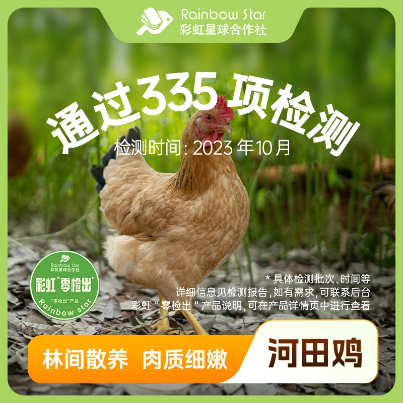 彩虹星球｜散养河田鸡12只家庭装鲜美2斤/只农村养殖过节送礼食材