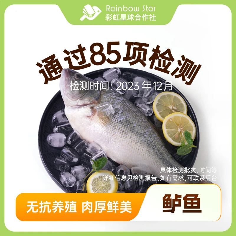【达人专属】彩虹星球无抗｜淡水无抗鲈鱼冰冻去鳃鳞去内脏送礼食材